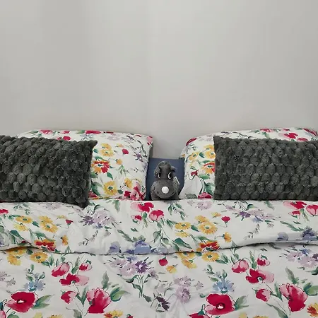 Apartamento Pod Debowcem *