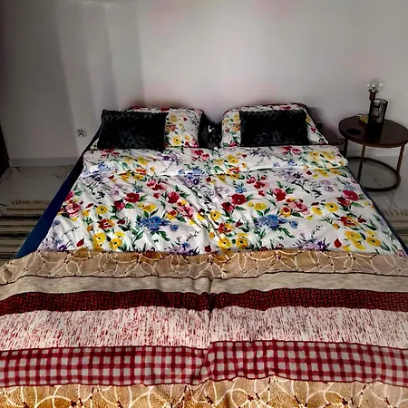 Pod Debowcem Apartamento *